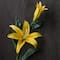 12 Pack: Yellow Casablanca Lily Stem by Ashland®